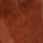 Preview: 282906_5.jpg