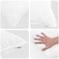 Preview: 3377253_7.jpg