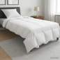 Preview: 3431537_1.jpg