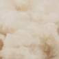 Preview: 3431679_8.jpg