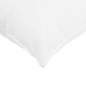 Preview: 3432226_5.jpg