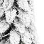Preview: 357698_6.jpg