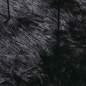 Preview: 4102806_7.jpg
