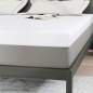 Preview: 4106252_8.jpg