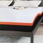 Preview: 4106308_8.jpg