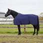 Preview: 42013256_1.jpg