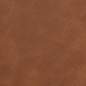 Preview: 42031542_10.jpg