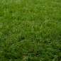Preview: 42033137_9.jpg