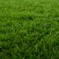 Preview: 42033140_9.jpg