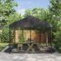Preview: 42033543_1.jpg