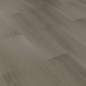 Preview: 42034079_2.jpg