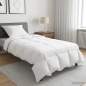Preview: 42041948_1.jpg