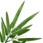 Preview: 42042084_4.jpg