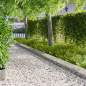 Preview: 8008500_1.jpg