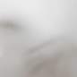 Preview: 841599_10.jpg