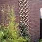 Preview: Nature Garten-Rankgitter 45x180 cm Bambus 6040720