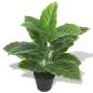 Preview:  Künstliche Taro-Pflanze mit Topf 45 cm Grün