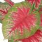 Preview:  Künstliche Caladium Pflanze mit Topf 85 cm Rot und Grün