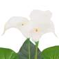 Preview:  Künstliche Calla-Lilie mit Topf 85 cm Weiß