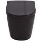 Preview:  Hänge-Toilette mit Einbau-Spülkasten Keramik Schwarz