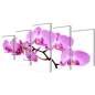 Preview: Bilder Dekoration Set Orchidee 200 x 100 cm