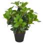 Preview:  Künstliche Pflanze Lorbeerbaum mit Topf Grün 40 cm