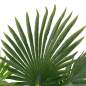 Preview:  Künstliche Pflanze Palme mit Topf Grün 70 cm
