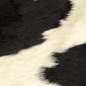 Preview:  Teppich Echtes Rindsleder Schwarz und Weiß 150x170 cm