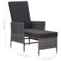 Preview:  2-tlg. Garten-Lounge-Set mit Kissen Poly Rattan Grau