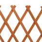 Preview:  Garten-Rankzaun Orange 120x60 cm Massivholz Tanne