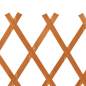 Preview:  Garten-Rankzaun Orange 120x90 cm Massivholz Tanne