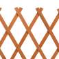 Preview:  Garten-Rankzaun Orange 150x80 cm Massivholz Tanne