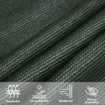311463_11.jpg
