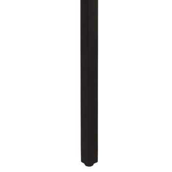 321973_5.jpg