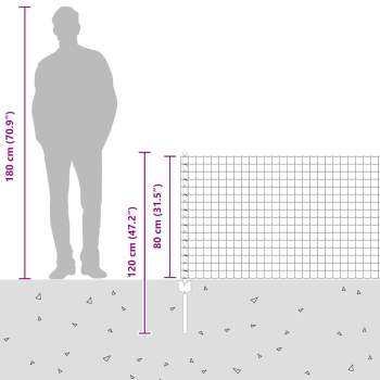 3335966_12.jpg