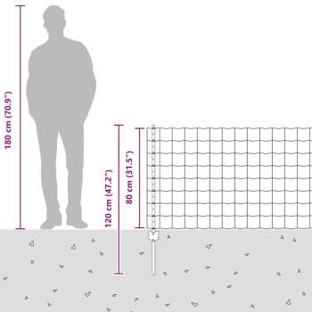3335998_12.jpg