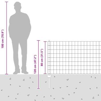 3336080_12.jpg