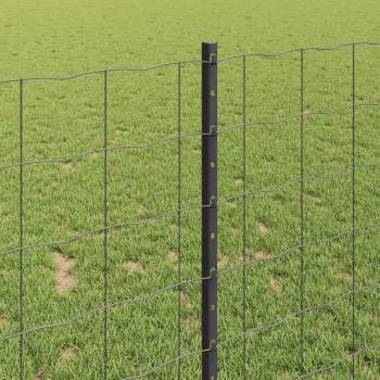 Preview: 3336117_4.jpg