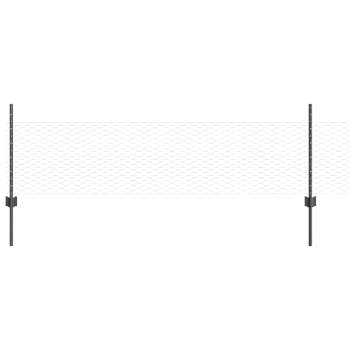 Preview: 3336811_2.jpg