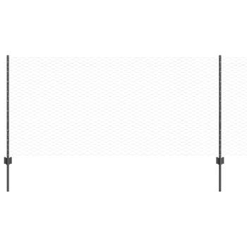 Preview: 3336819_2.jpg