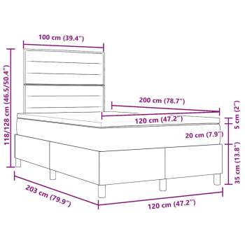 3339303_12.jpg