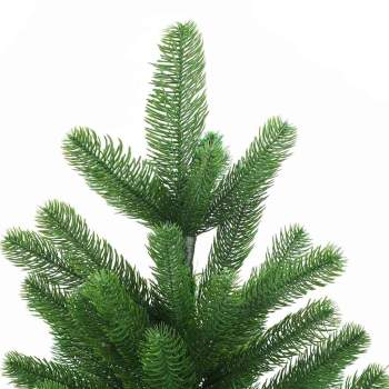 3396329_12.jpg