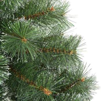 3397833_13.jpg