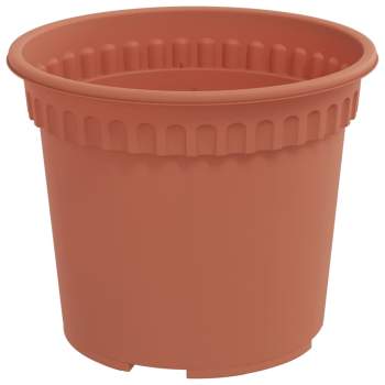 3403254_6.jpg