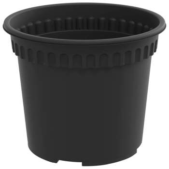 3403258_6.jpg