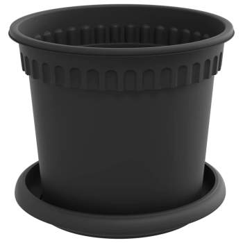 3403259_5.jpg