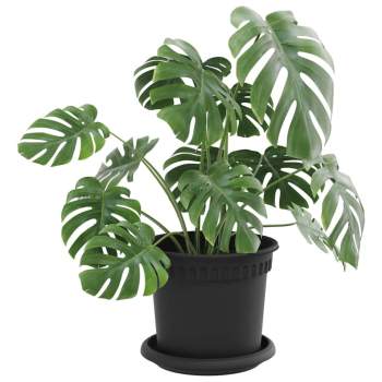 Preview: 3403267_3.jpg