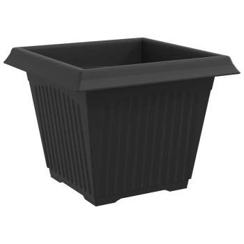 3403314_6.jpg