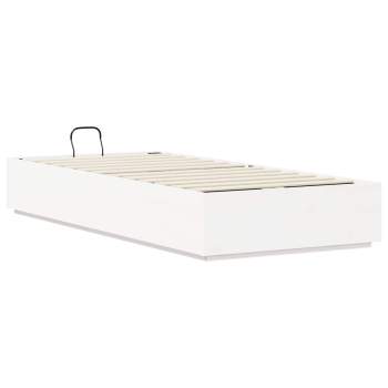 3418724_9.jpg