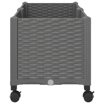 Preview: 3422962_4.jpg